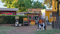 04. Colonia del Sacraento