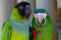 25. Parque das Aves