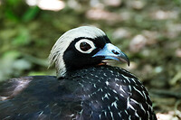 22. Parque das Aves