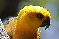 26. Parque das Aves