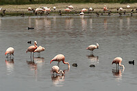 27. Duna Huancar