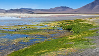 37. Laguna Colorada