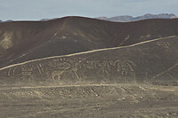 36. Nazca