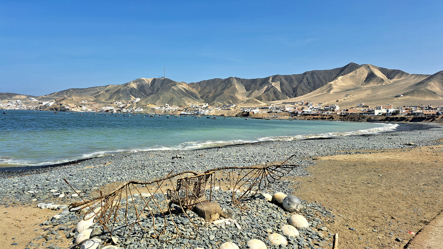 15. Tortugas