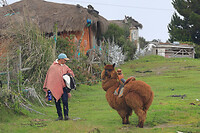 20. Laguna Quilotoa