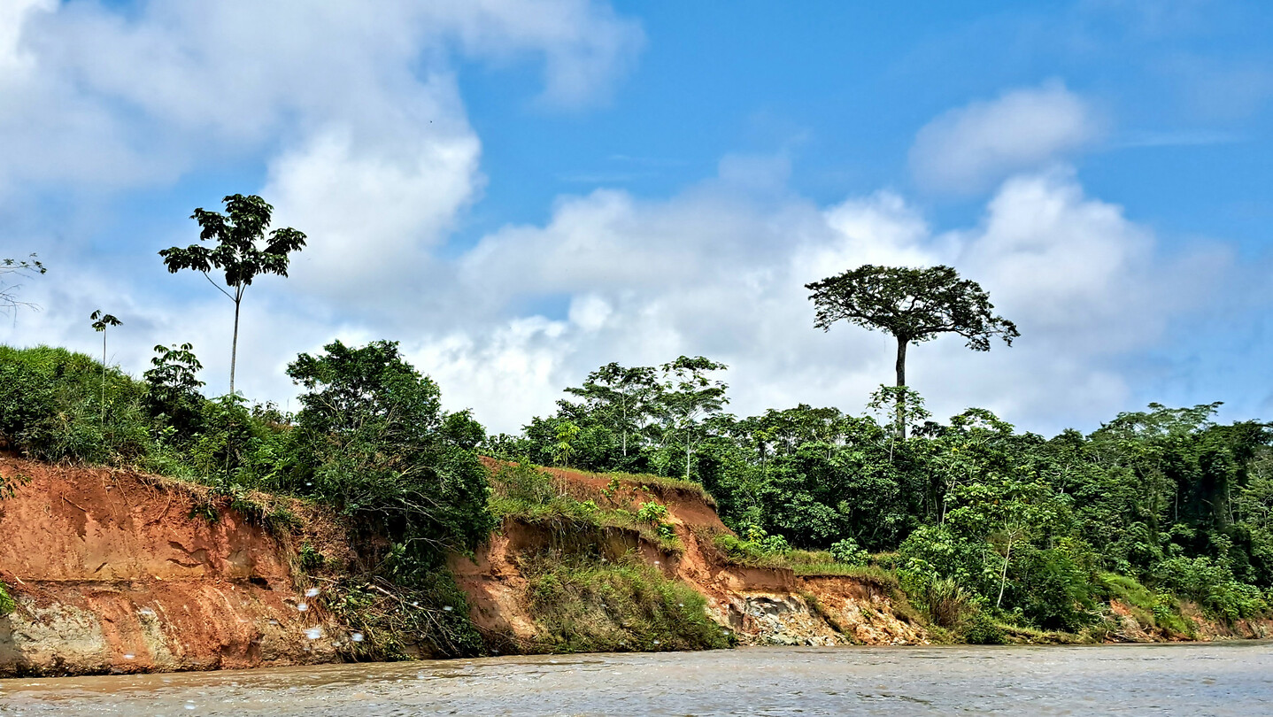 03. Amazone