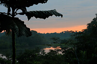 10. Amazone