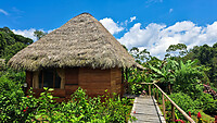 16. Amazone