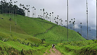 07. Valle de Cocora