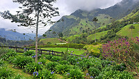 08. Valle de Cocora