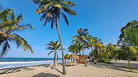 24. Guachaca