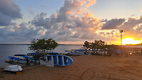 16. Morrocoy