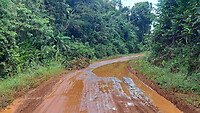 06. Lethem-Linden