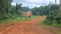 13. Lethem-Linden