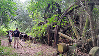 28. Marienburg