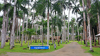 16. Paramaribo