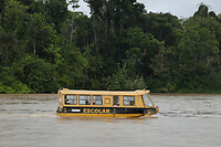 30. Amazone