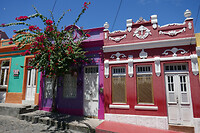 21. Olinda