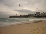 bondibeach Sydney