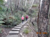 blue mountains
