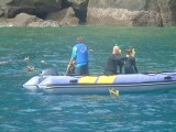 snorkelenbij de Whitsunday islands