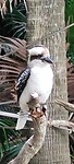 IMG-20240418-WA0018
