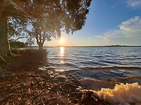 IMG-20240418-WA0011