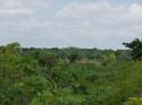 P1000147-550