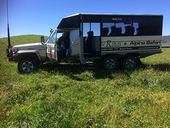 De safari car