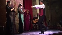 Flamenco 💃