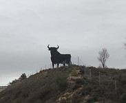 Torro