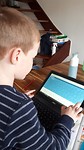Online at school