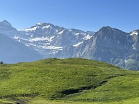 de Dents Blanches