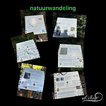 natuurwandeling met informatie