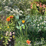 bloemenboeket