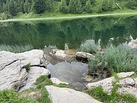 weerspiegeling in Lac Noir