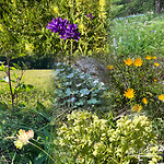 uitbundige bloemenpracht