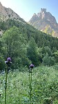 ‘gouden’  bergtoppen