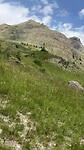 koppel Le Gypaète barbu