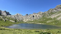bergmeer