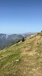 Schaapskudde op de top