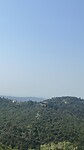 Viewpoint