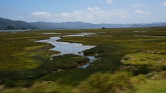 wetlands bij Knysna