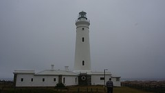 de vuurtoren