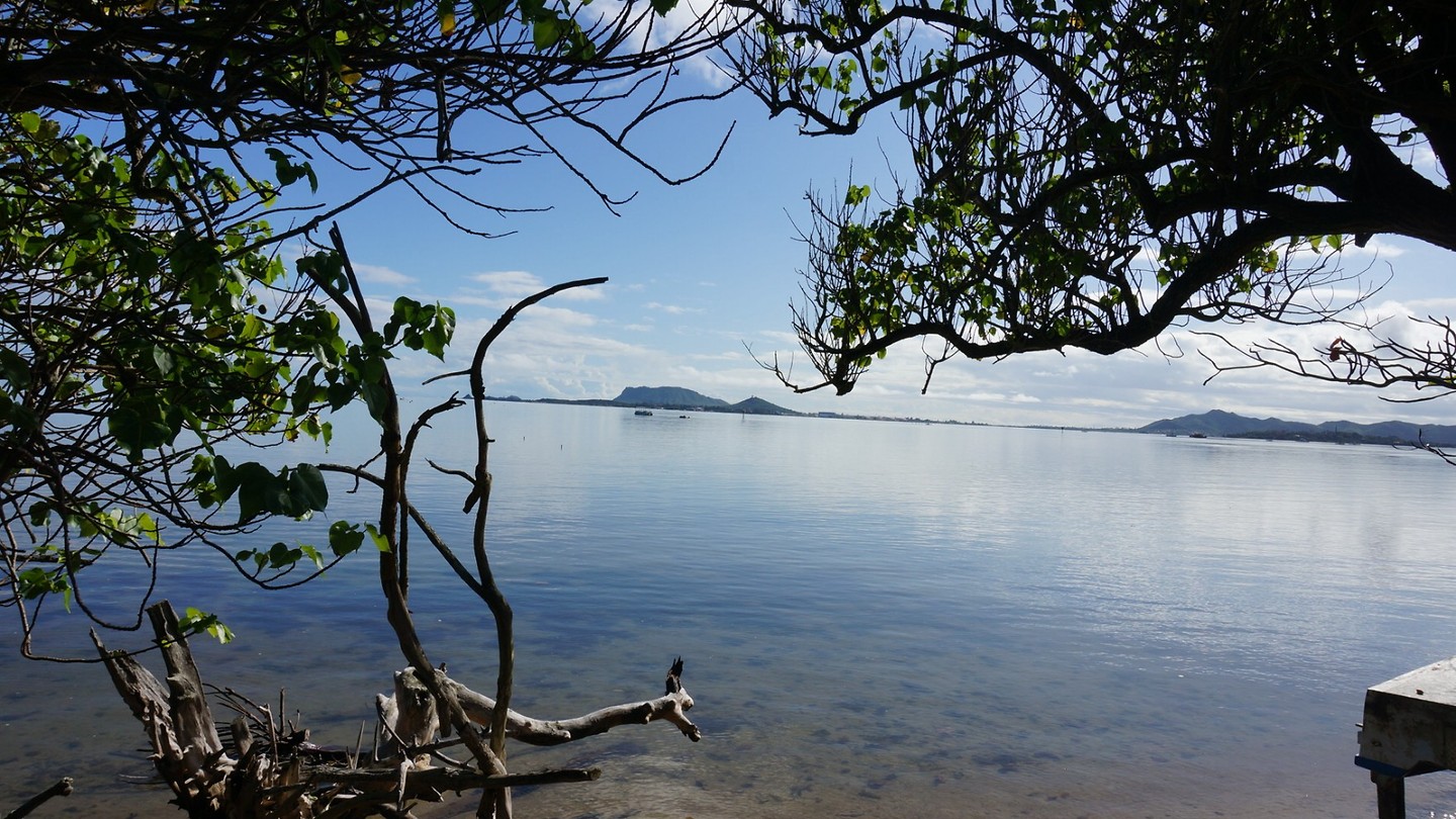 DSC00655