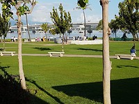 Pearl Harbor