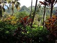 20180209_122701