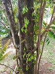 20180209_120409