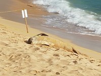 20180215_163014