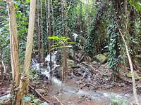 20180217_101541